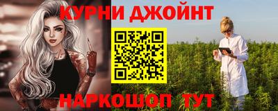 прущие грибы Будённовск