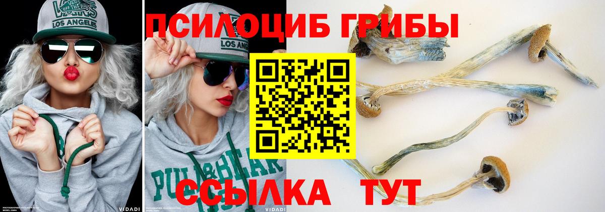 Галлюциногенные грибы MAGIC MUSHROOMS Урай