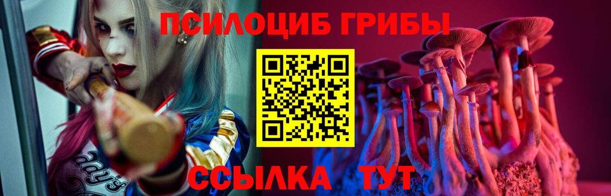 Галлюциногенные грибы Magic Shrooms  Галлюциногенные грибы прущие грибы  Урай  Вход с VPN 